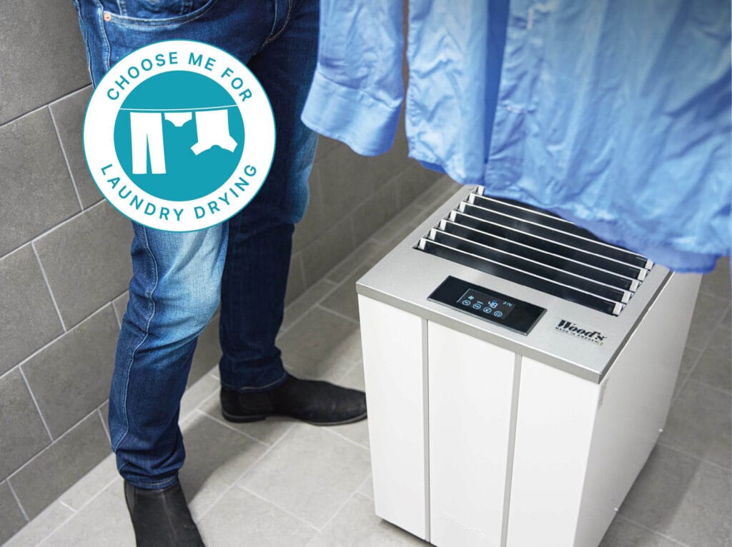 Dehumidifier for dry laundry