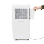 Wood's Milan from the back