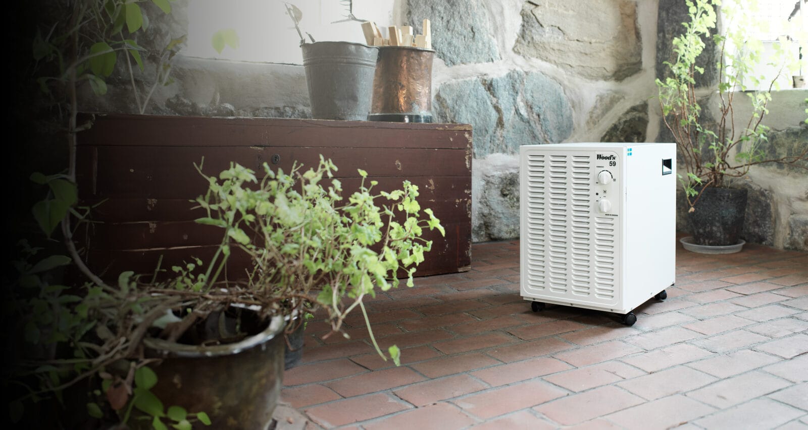 Wood's SW59FW in basement