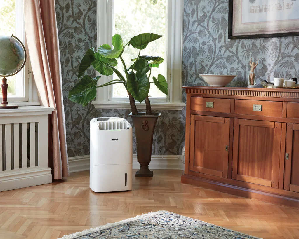 Déshumidificateur Cecotec BigDry 2500 Essential 360 2L Blanc | Leroy Merlin