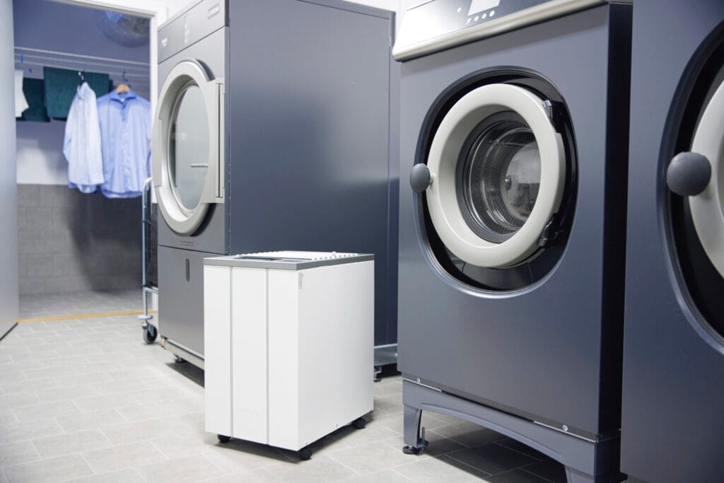 Wood's LD in laundry room